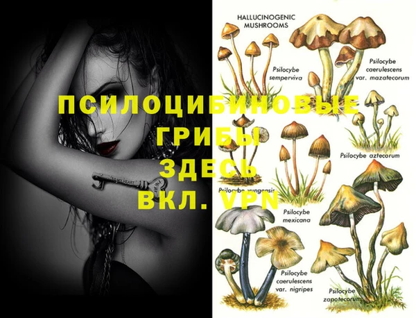 MESCALINE Вязьма